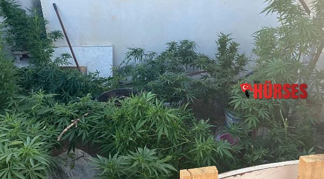 Alanya'da eş zamanlı uyuşturucu operasyonu: 14 gözaltı