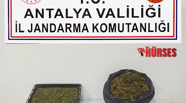 Alanya'da eve uyuşturucu baskını: 1 gözaltı