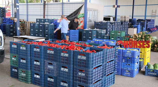 Antalya halinde semt pazarı hareketliliği başladı