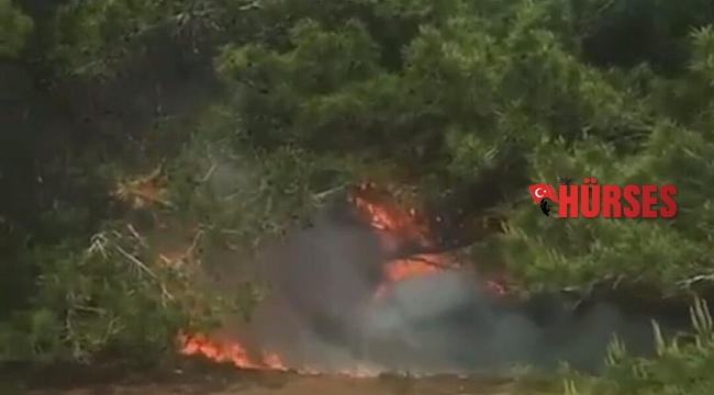 Antalya'da bunalıma giren genç hem kendini hem ormanı yaktı
