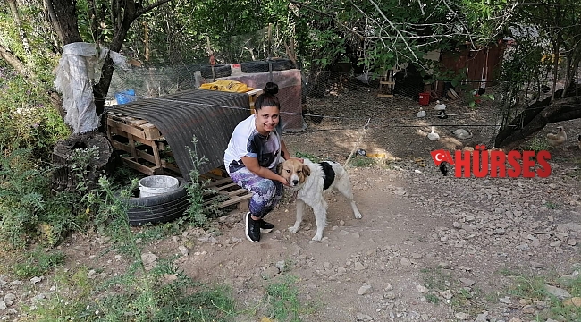 Antalya'da ölüme terk edilen köpeklere mahalleli sahip çıktı