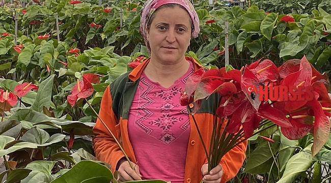 Antalya'dan Avrupa ülkelerine gönderiliyor