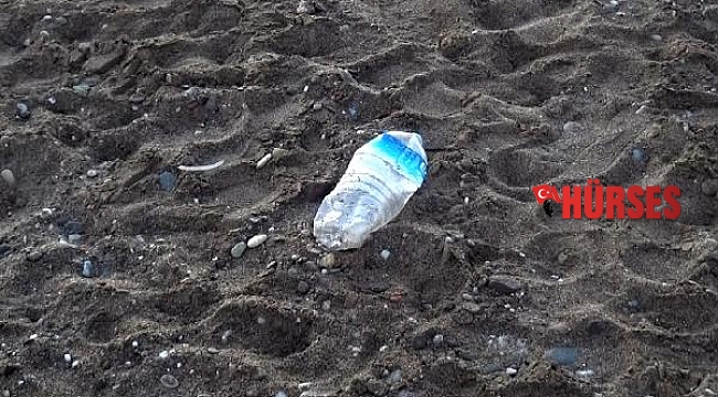 'Caretta carettalar, poşetleri denizanası diye yiyor'