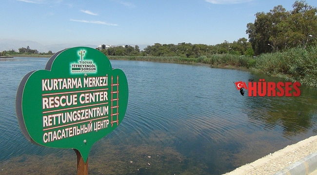 Dünyaca ünlü turizm merkezi Titreyengöl can çekişiyor, balıklar ölüyor