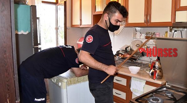 Evinin mutfağında yılanla karşılaştı