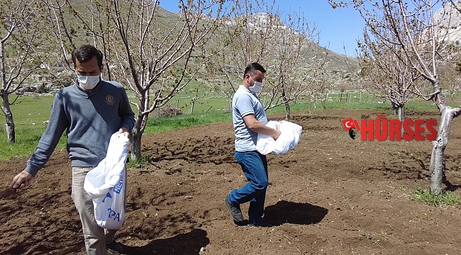 Gündoğmuş'ta üreticilere arı otu verildi
