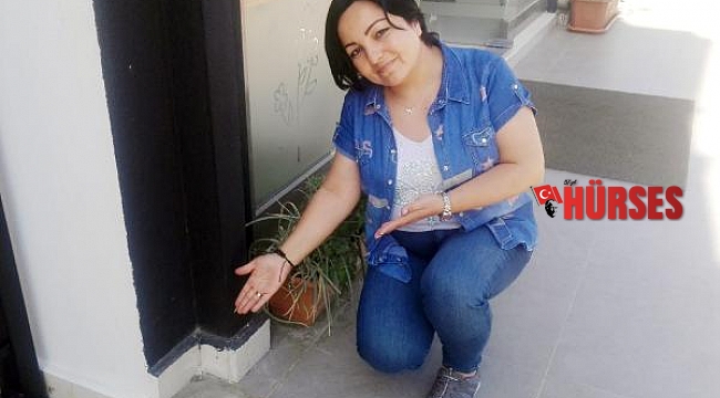 İş yeri önündeki kaktüs çalındı