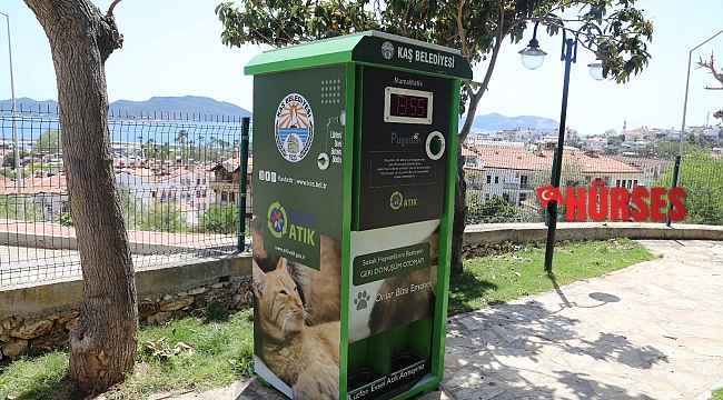 Kaş'ta sokak hayvanları için mamamatik hizmeti