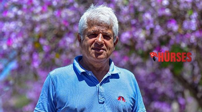Kıyıya yakın ağlar, kaplumbağalara ölüm tuzağı