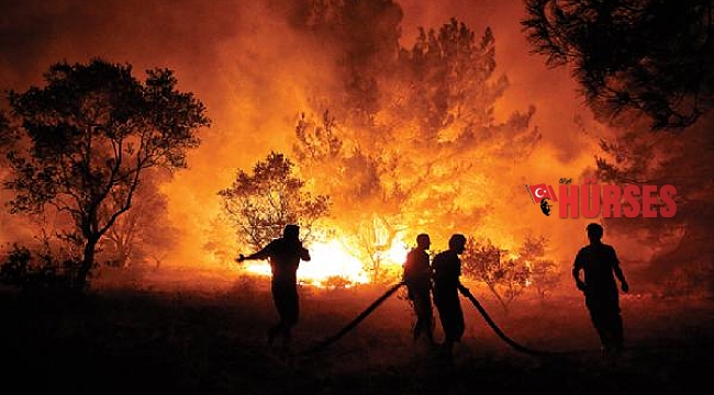 Orman yangınları en çok pazar ve öğleden sonra çıkıyor