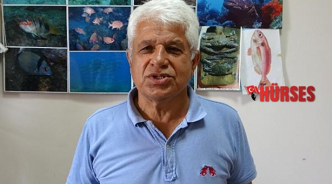 Prof. Dr. Gökoğlu: Denizde, kıyıda balon balığı görmeye alışmalıyız