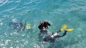 Tam kapanma deniz canlılarına nefes oldu