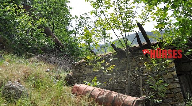 Teknoloji gelişince asırlık su değirmeni tarih oldu