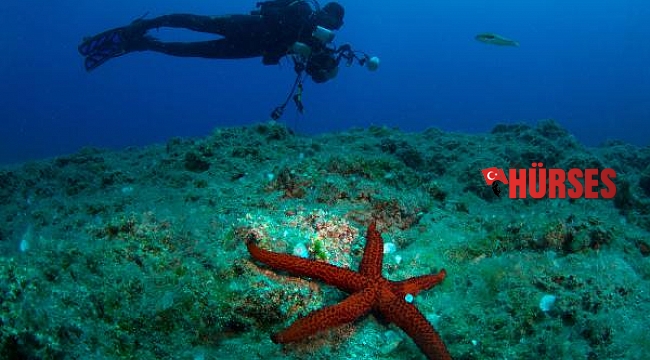 Uluslararası Kemer Sualtı Günleri 20 yaşında