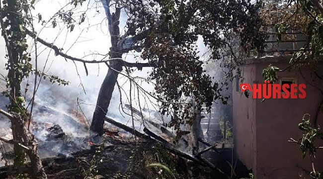 Yaylada yangın korkuttu