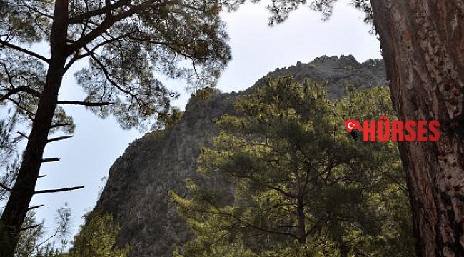 9 gündür kayıp kampçı, karşılaştığı 3 kişiye yorulduğunu söylemiş