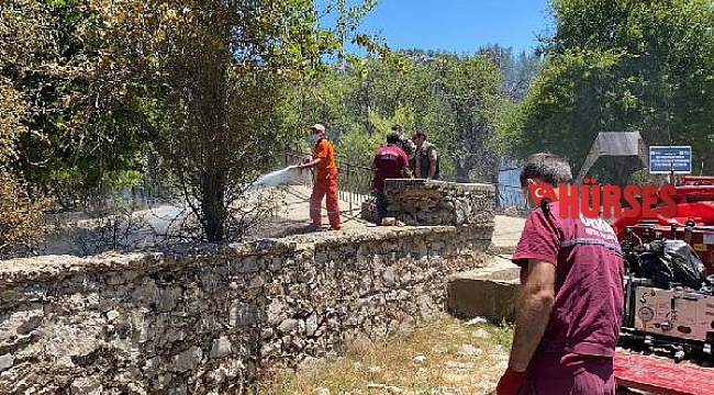 Akseki'de mezarlıkta yangın