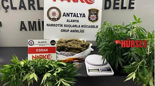 Alanya&#039;da uyuşturucu operasyonu: 1 gözaltı