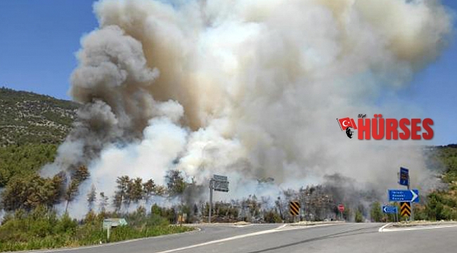 Antalya'da orman yangını