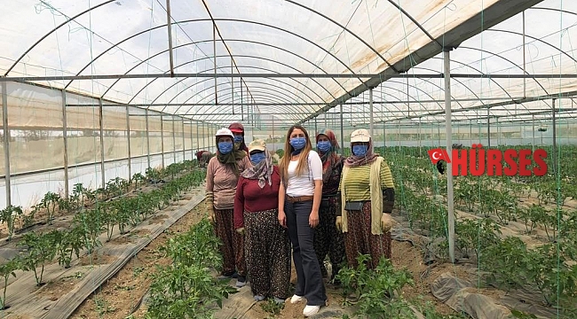 Antalya'nın yaylalarında örtü altı üretim artıyor