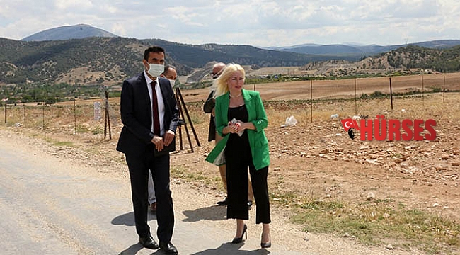 Aromatik bitkiler işlenecek