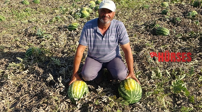 Aşırı sıcak ve poyraz 350 ton karpuzu yaktı