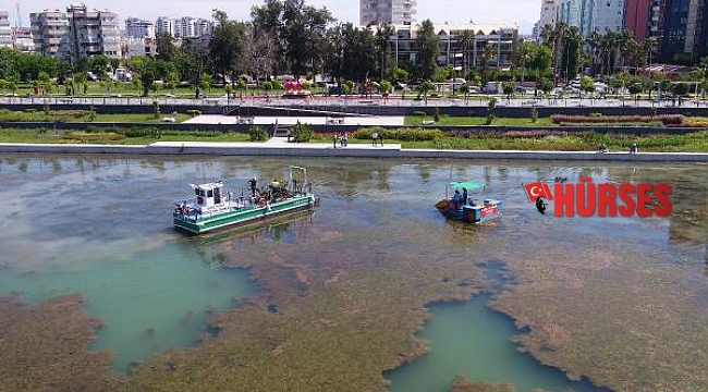 Boğaçayı'nda Caretta ve Ahtapot'la temizlik