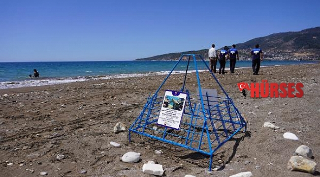 Caretta yuvalarına tel kafesli koruma