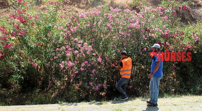 Çıralı yolu üzerinde otlar temizlendi