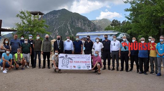 Deniz kaplumbağası yuvalarına ısıölçerli takip