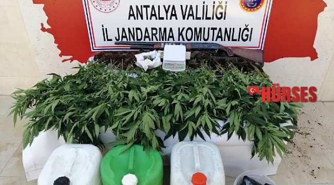 Finike Jandarması'ndan uyuşturucu operasyonu