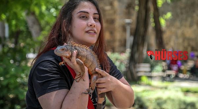 İguanasıyla şehri turladı