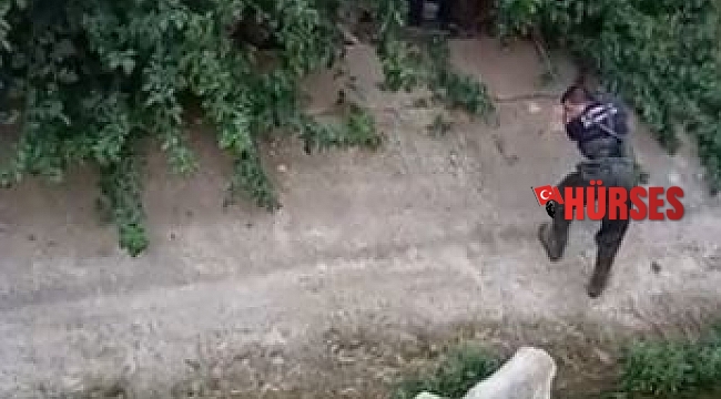 Kanala düşen koyunu itfaiye kurtardı