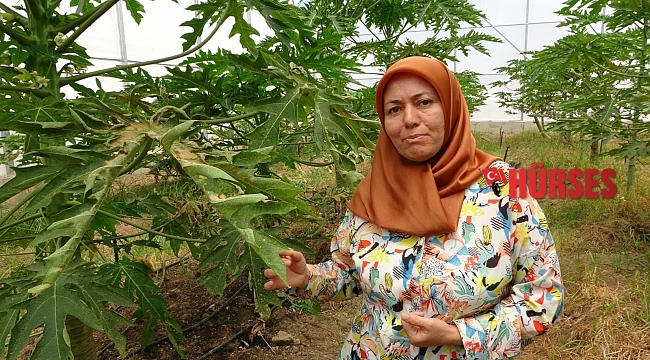 Manavgat Meslek Yüksekokulu kalifiye eleman eksiğini giderecek