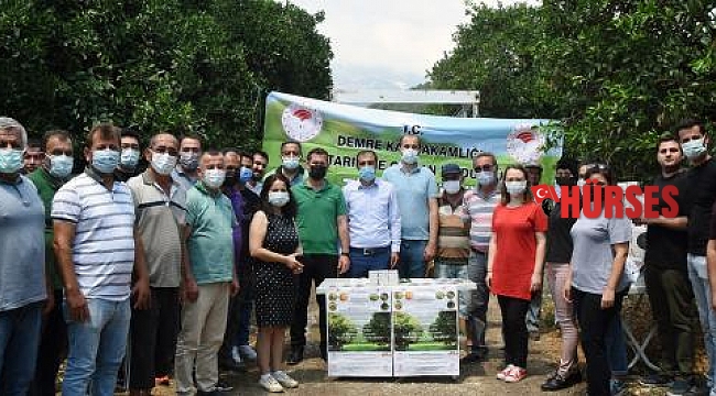 Portakal ağaçlarını faydalı böcekler koruyacak