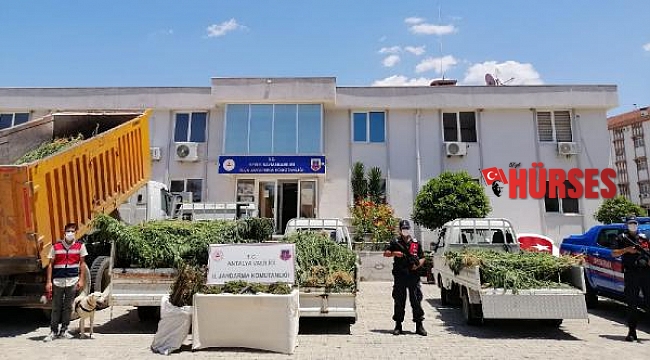 Serik'te jandarmadan uyuşturucu operasyonu