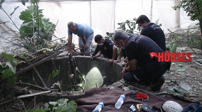 20 metrelik kuyuya düşen yavru kediyi itfaiye kurtardı