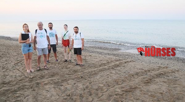 Belek sahilinde caretta yuvaları 2 bini aştı