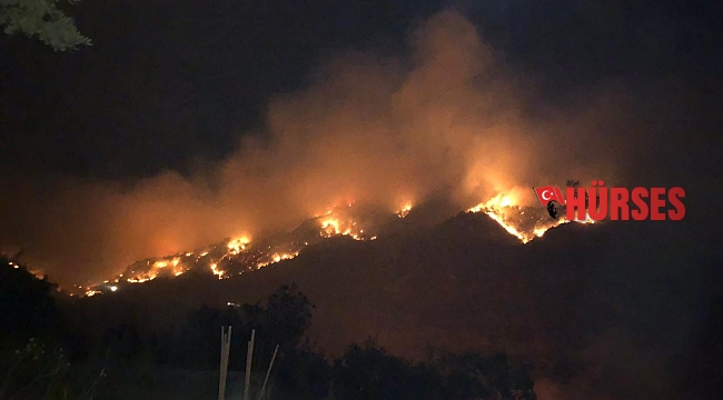Gazipaşa'da 3 farklı noktada orman yangını