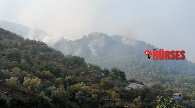 Gazipaşa'da 4 farklı noktada orman yangını