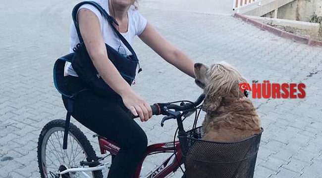 Köpeği Kiraz'ın, yaşamadıkları eve girişi yasaklandı