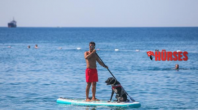 Köpeği 'Misha'ya cankurtaran eğitimi veriyor