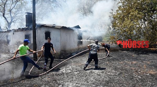 Kullanılmayan ev ve zeytin ağaçları, yangında zarar gördü