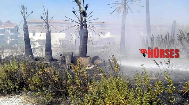 Manavgat'ta fidanlık yangını