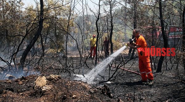 Manavgat'ta orman yangını