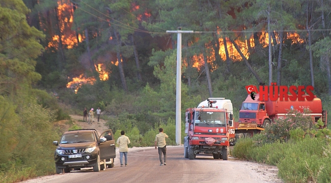 Manavgat'ta orman yangını devam ediyor