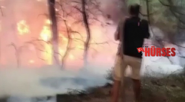 Tatile giden Adanalı gençler, yangına müdahale etti