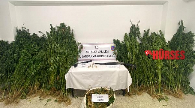 Uyuşturucu operasyonuna 2 tutuklama