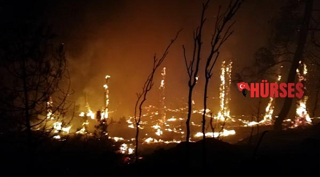 1 haftada aynı bölgede beşinci orman yangını 