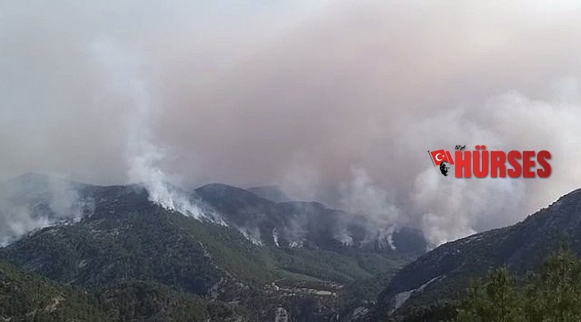 Akseki yangının şüphelisi, 20 hektar ormanın yandığı yangının da şüphelisi çıktı